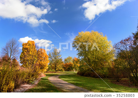 Autumn in Europe Autumn in Europe 35258803