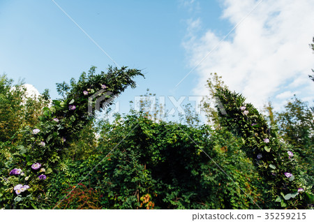 Place for wedding ceremony on grass Place for wedding ceremony on grass 35259215