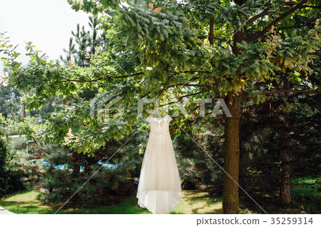 beige wedding dress hang on tree branch in garden beige wedding dress hang on tree branch in garden 35259314