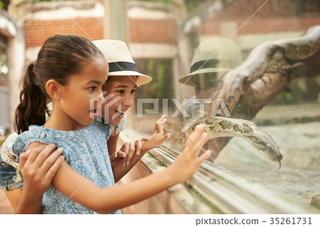 Seeing snake for the first time Seeing snake for the first time 35261731
