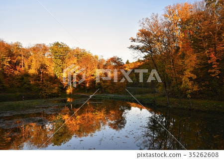 Autumn. Beautiful colorful leaves. Landscape. 35262608