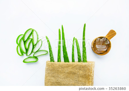 Aloe vera fresh leaves with aloe vera gel Aloe vera fresh leaves with aloe vera gel 35263860
