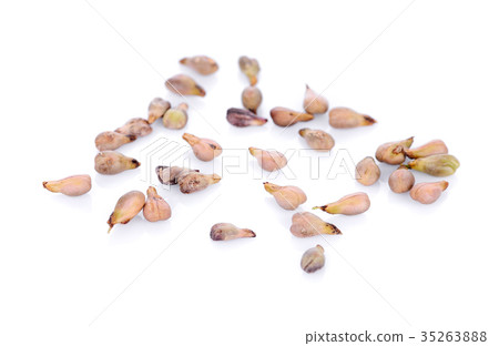 Grape Seed isolated on white background 35263888