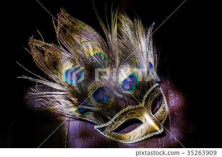carnival mask with peacock feathers. light brush 35263909