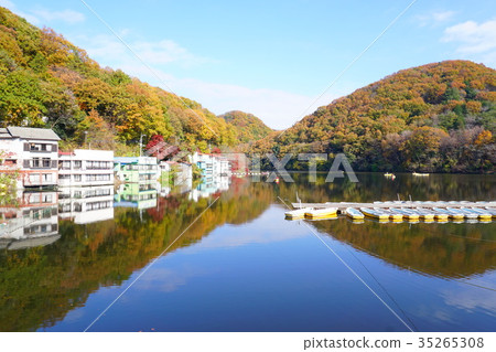 秋天的燈籠 秋天的燈籠 35265308