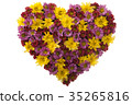 Flower Love 35265816