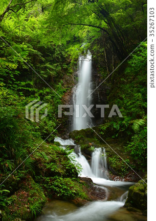 Falls of the summer sweet rainforest Falls of the summer sweet rainforest 35267103