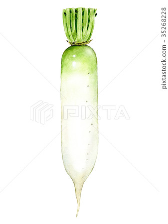水彩插圖 水彩插圖 35268228