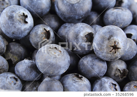 fresh blueberry fruits closeup food background fresh blueberry fruits closeup food background 35268596