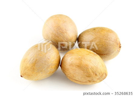 avocado seeds isolated on a white background avocado seeds isolated on a white background 35268635