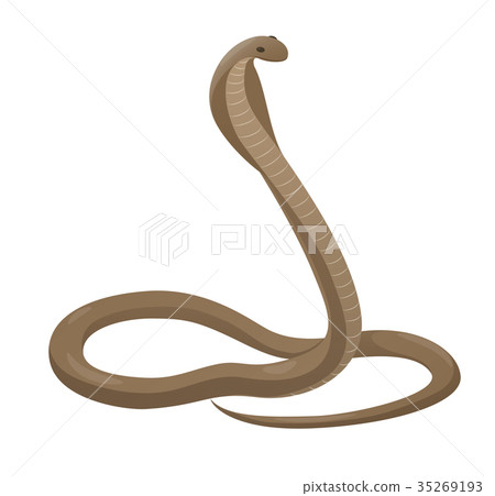 Rearing Cobra with Open Hood Vector Icon 35269193