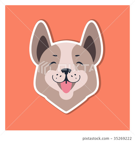 Central Asian Shepherd Dog or Siberian Husky Head 35269222