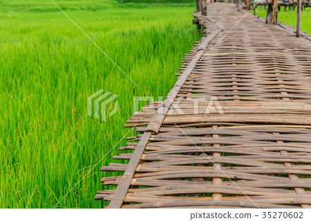 bamboo bridge walking path on green rice field 35270602