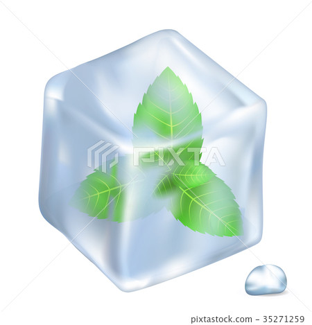 Leaves of Spermint in Ice Isolated Illustration 35271259
