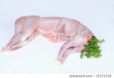 Raw rabbit on white with parsley Raw rabbit on white with parsley 35271528