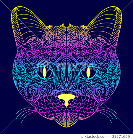 Head of cat Head of cat 35271669