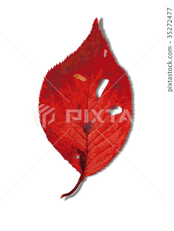 Sakura autumn leaves 1-5 shadow 35272477