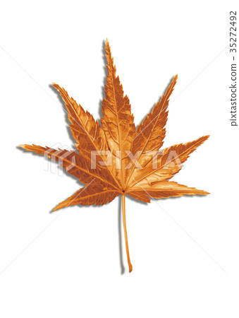 Maple autumn leaves 1-3 shadow Maple autumn leaves 1-3 shadow 35272492