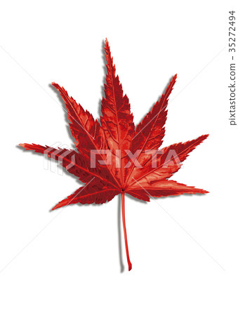 Maple autumn leaves 1-5 shadow Maple autumn leaves 1-5 shadow 35272494