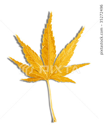 楓葉秋葉2-2影 楓葉秋葉2-2影 35272496