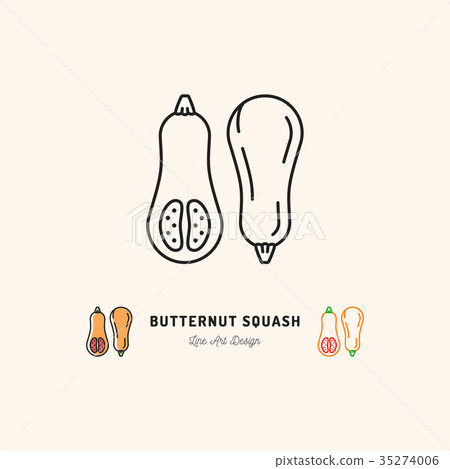 Butternut Squash icon Vegetables logo. Thin line 35274006