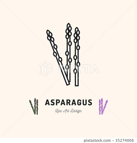 Asparagus icon Vegetables logo. Thin line art 35274008