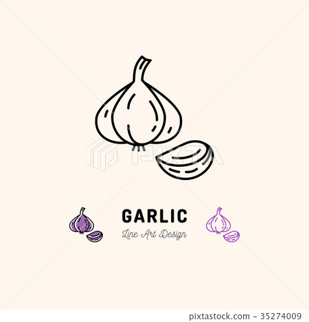 Garlic icon Vegetables logo Spice. Thin line art 35274009