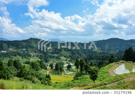 Yamakoshi's Tanada terrace pond Yamakoshi's Tanada terrace pond 35274196