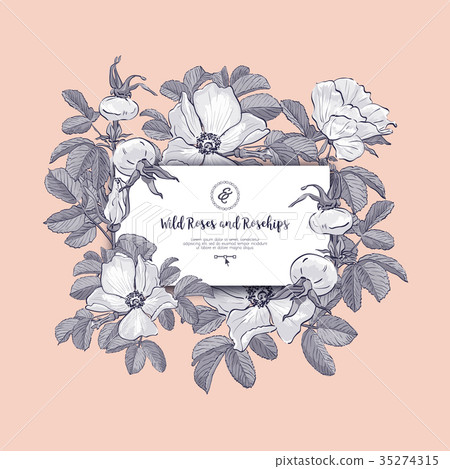 Floral card Wild Roses and Rosehips, Fashion 35274315