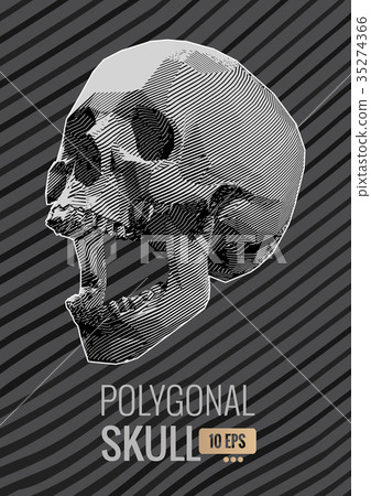 Stylized stripe skull on monochrome stripe BG Stylized stripe skull on monochrome stripe BG 35274366