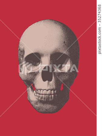 Old engraving skull illustration on red BG Old engraving skull illustration on red BG 35274368