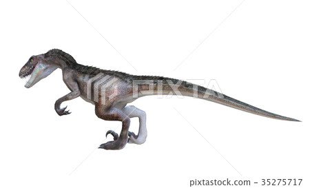 恐龍 35275717