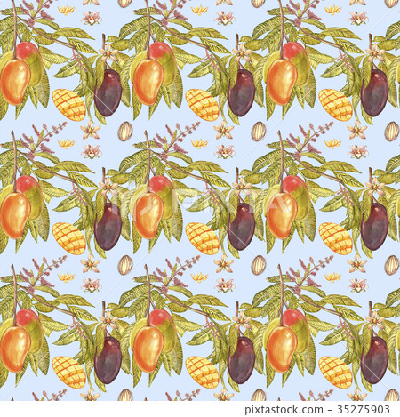 Mango tree vintage seamless pattern. Mango Fruit 35275903