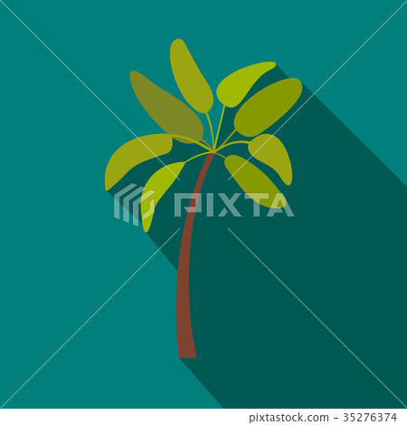 Palm tree icon, flat style Palm tree icon, flat style 35276374
