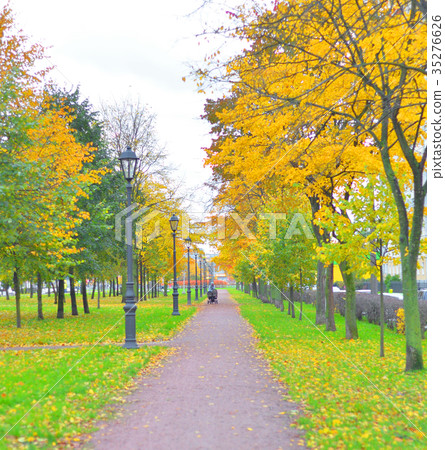 Park at autumn. 35276626
