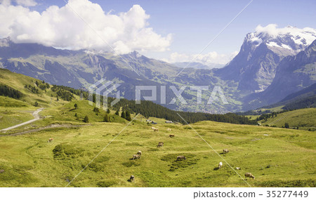 Jungfrau, Alps, Bern, Switzerland Jungfrau, Alps, Bern, Switzerland 35277449