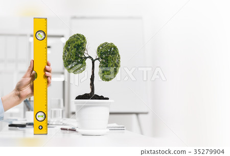 Growing income 35279904