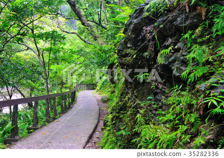 太魯閣國家公園,太魯閣台地,砂卡礑溪,砂卡礑,砂卡礑步道,神秘谷 太魯閣國家公園,太魯閣台地,砂卡礑溪,砂卡礑,砂卡礑步道,神秘谷 35282336