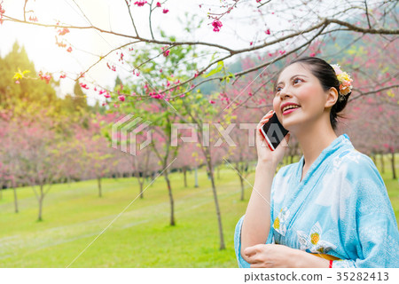 young woman wear japanese kimono visiting sakura young woman wear japanese kimono visiting sakura 35282413