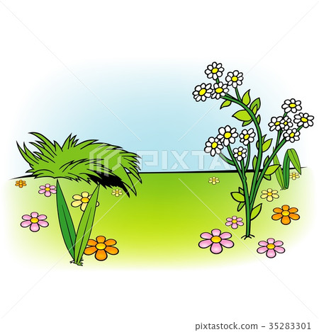White Flower and Meadow White Flower and Meadow 35283301
