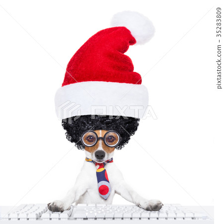 dog office worker on christmas holidays 35283809