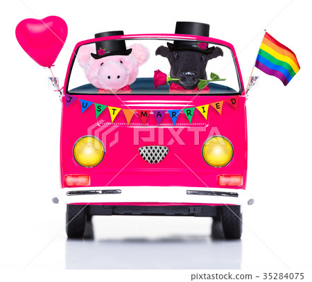 gay pride couple same sex marriage 35284075