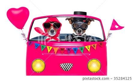 gay pride couple  marriage 35284125