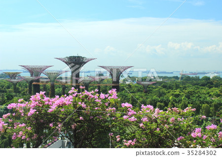 濱海灣金沙廳的景緻 濱海灣金沙廳的景緻 35284302