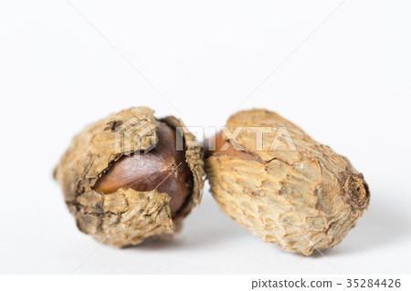 椎骨果實 35284426