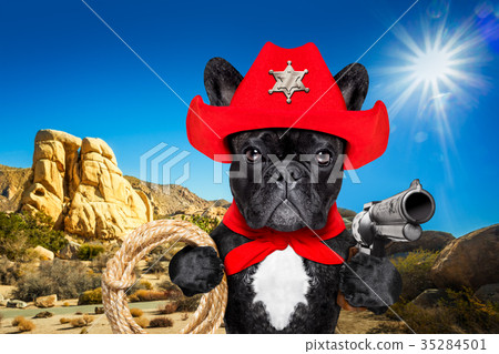 cowboy western sheriff dog 35284501
