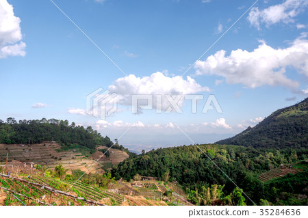 Tea plantation beautiful landscape 35284636