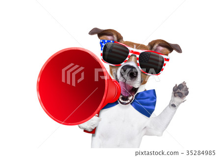 independence day 4th of july dog 35284985