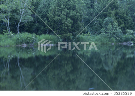 Nagano Prefecture Kido Pond Nagano Prefecture Kido Pond 35285559