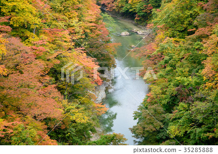 秋葉Koankyo秋田秋田 秋葉Koankyo秋田秋田 35285888